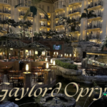 NASP, THE GAYLORD, AND FEELING SMALL