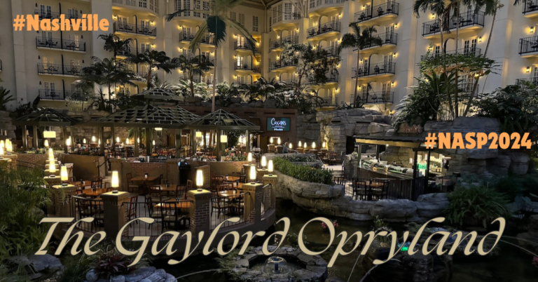 NASP, THE GAYLORD, AND FEELING SMALL